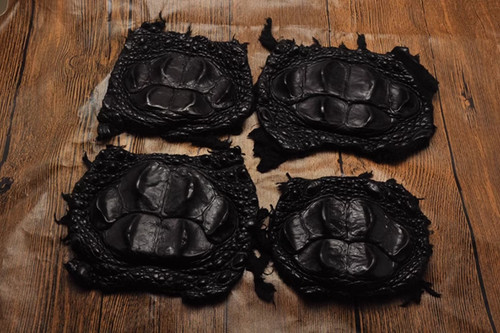 Real alligator skin - skin, hide